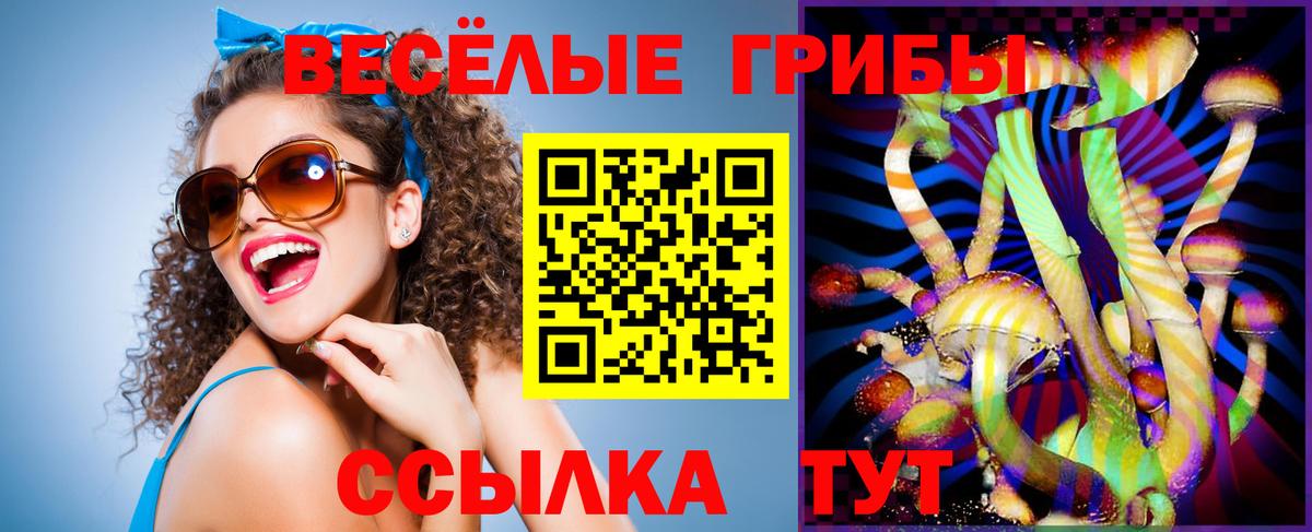 Псилоцибиновые грибы Cubensis Карасук