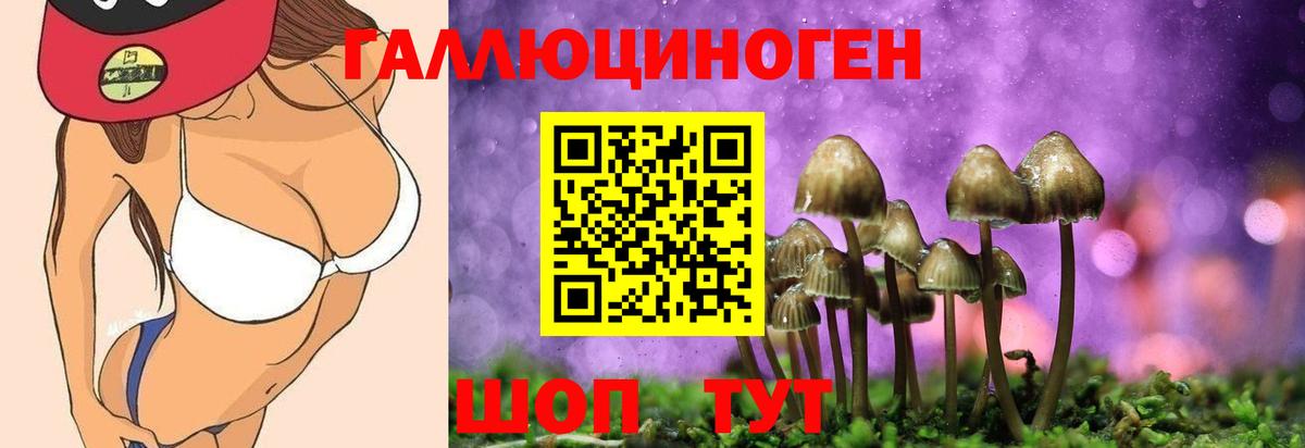 Галлюциногенные грибы мицелий  Вход с VPN  Галлюциногенные грибы Magic Shrooms  магазин продажи   Карасук 